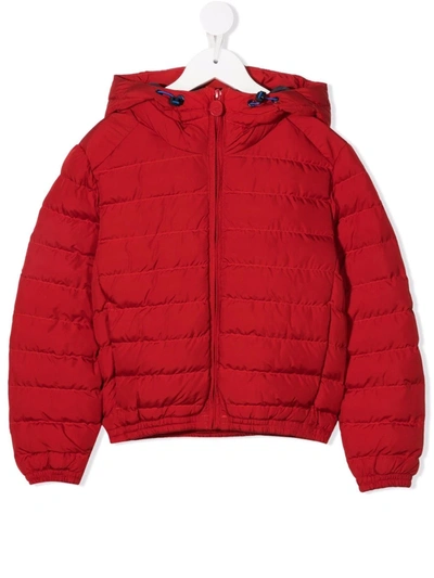 Invicta Padded Hooded Jacket In Red