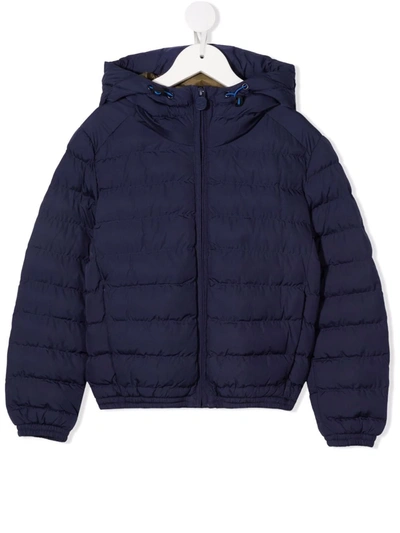 Shop Invicta Padded Hooded Jacket In Blue