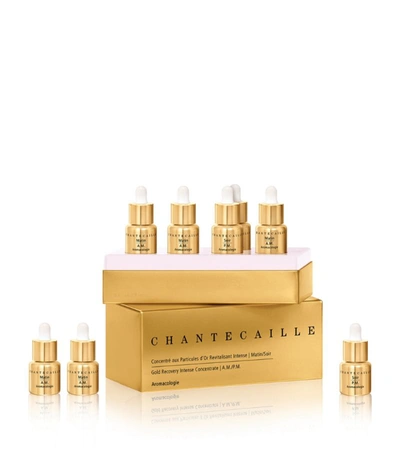 Shop Chantecaille Gold Recovery Intense Concentrate A. M./p. M. In Multi