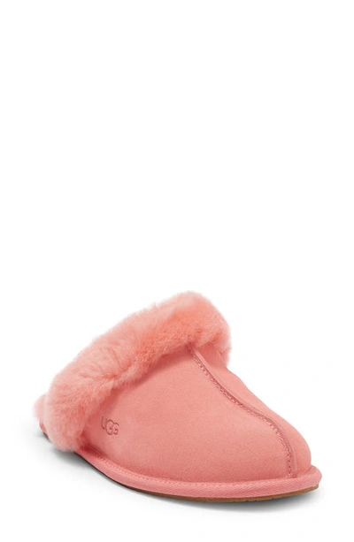 Shop Ugg Scuffette Ii Slipper In Pink Blossom