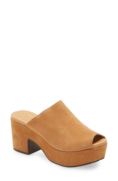 Shop Chocolat Blu Platform Slide Sandal In Tan Suede