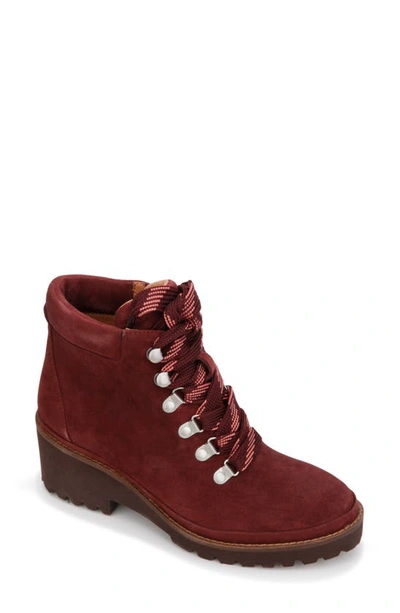 Shop Gentle Souls Signature Mona Lace-up Boot In Plum Berry