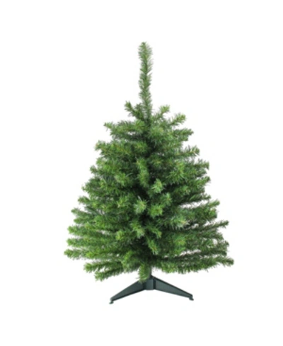 Shop Northlight 3' Canadian Pine Artificial Christmas Tree In Green