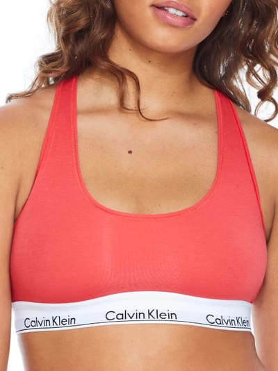 Shop Calvin Klein Modern Cotton Racerback Bralette In Strawberry Shake