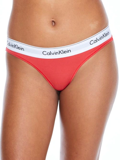 Shop Calvin Klein Modern Cotton Thong In Strawberry Shake