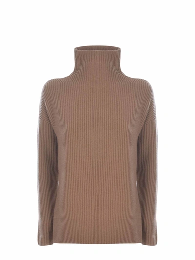 Shop Max Mara Sweater In Cammello