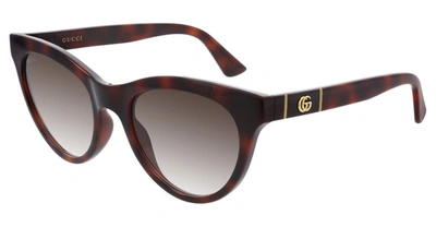 Shop Gucci Brown Cat-eye Ladies Sunglasses Gg0763s 002 53