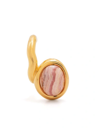 Charlotte Chesnais Gold Framed Neo Turtle Earrings In Rosa