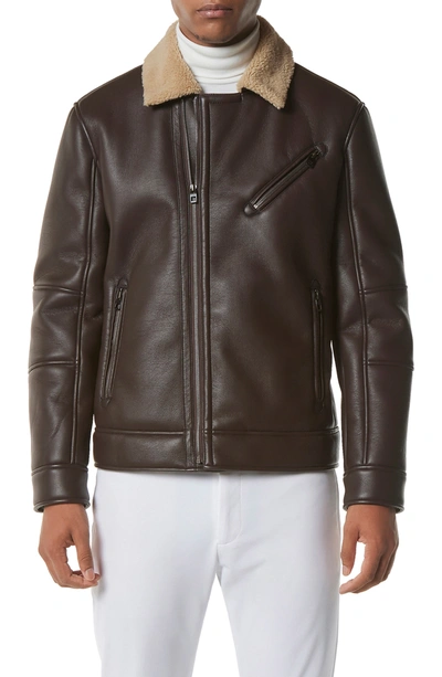 Shop Marc New York Maxton Faux Leather & Faux Shearling Collar Moto Jacket In Espresso