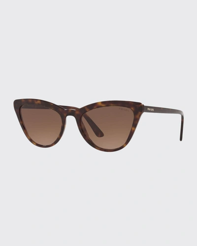 Shop Prada Acetate Cat-eye Sunglasses In Brown