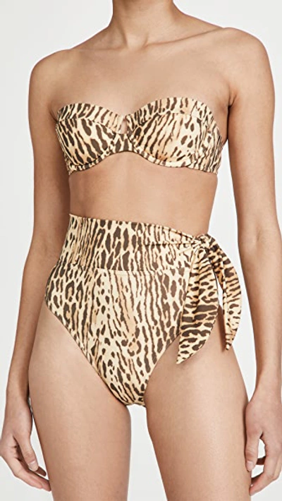 Shop Zimmermann Separates Sculpt Tie Bikini Bottoms In Leopard