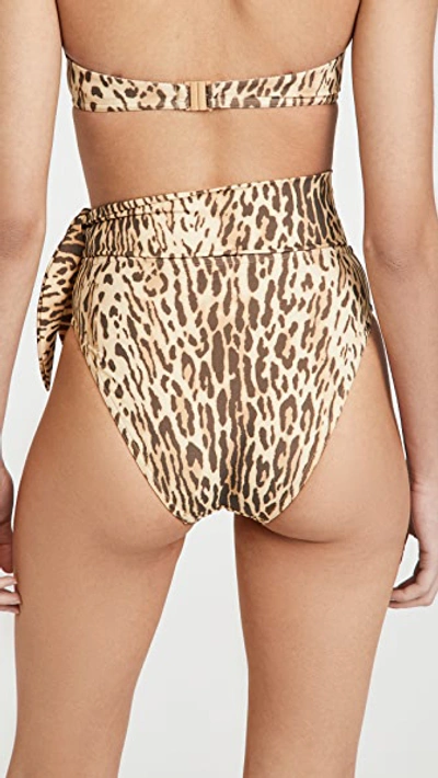 Shop Zimmermann Separates Sculpt Tie Bikini Bottoms In Leopard