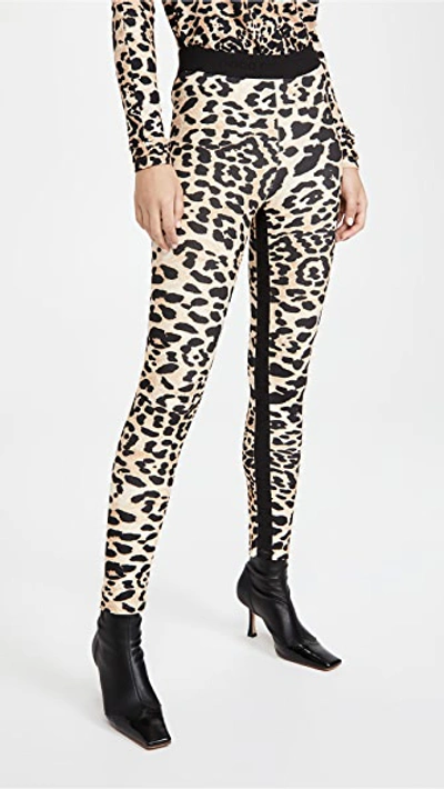 Shop Rabanne Pantalon Leggings Leopard