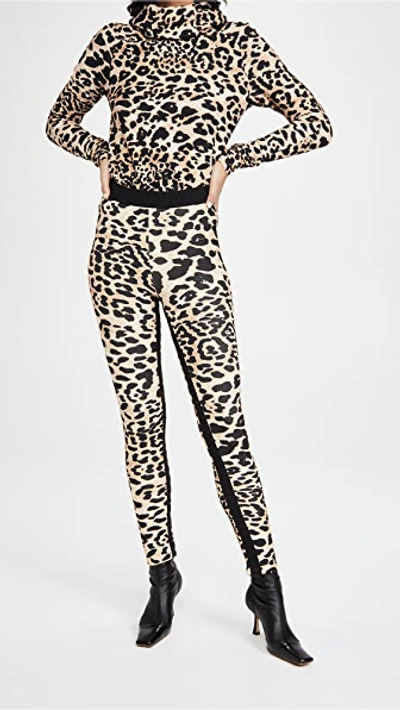 Shop Paco Rabanne Pantalon Leggings Leopard