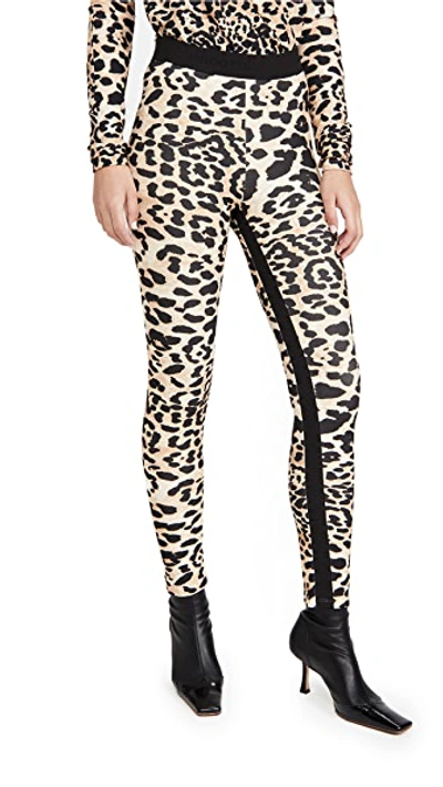 Shop Paco Rabanne Pantalon Leggings Leopard