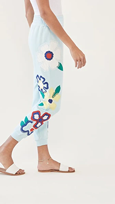 Shop Alice And Olivia Nyc Slim Joggers In Powder Blue/multi