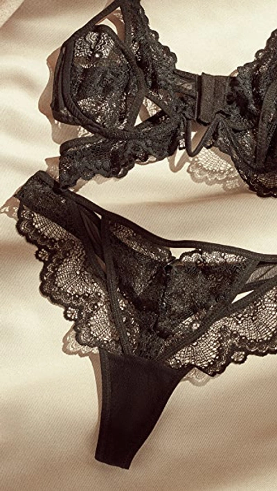 Thistle & Spire Kane Cutout Lace Thong In Black