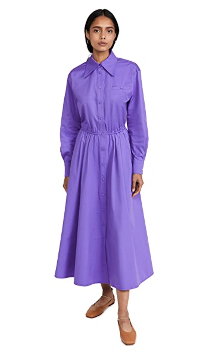 Eleanor Cotton Poplin Dress In Royal Purple