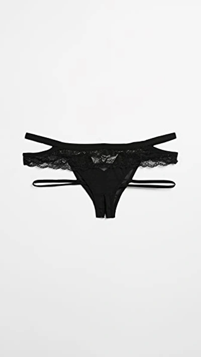 Honeydew Intimates Lucy Elastic & Lace Panties Black In Black