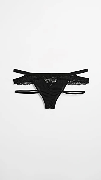 Honeydew Intimates Lucy Elastic & Lace Panties Black In Black