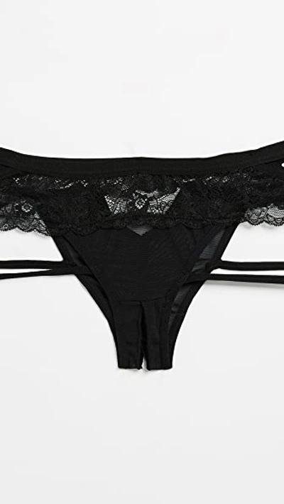 Honeydew Intimates Lucy Elastic & Lace Panties Black In Black