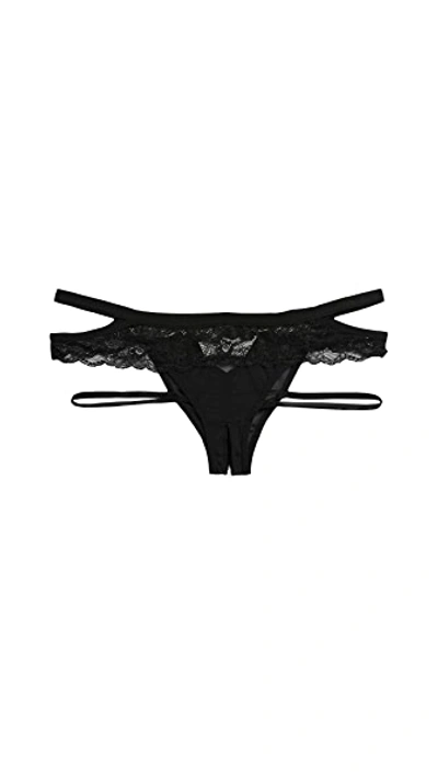 Honeydew Intimates Lucy Elastic & Lace Panties Black In Black