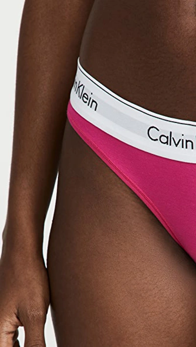 Calvin Klein Underwear Modern Cotton Thong In Party Pink670 | ModeSens