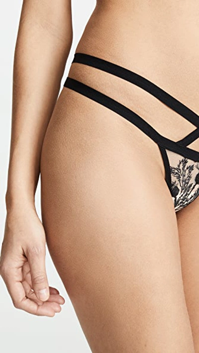 Shop Thistle & Spire Verona Embroidered Thong In Black