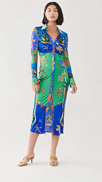 Shop Versace Dress In Blue/green Multi