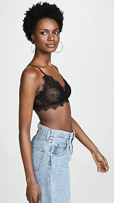 Anine Bing Stretch-lace Soft-cup Triangle Bra In Black