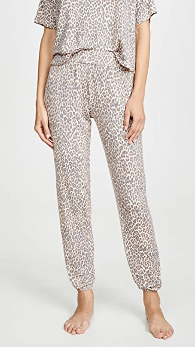 Honeydew Intimates Honeydew Sun Lover Lounge Set In Leopard