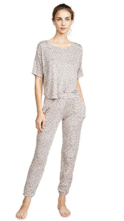 Honeydew Intimates Honeydew Sun Lover Lounge Set In Leopard