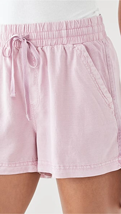 Shop Splendid Campside Shorts In Mauve