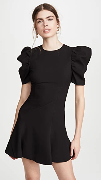 Shop Likely Alia Dress In Black