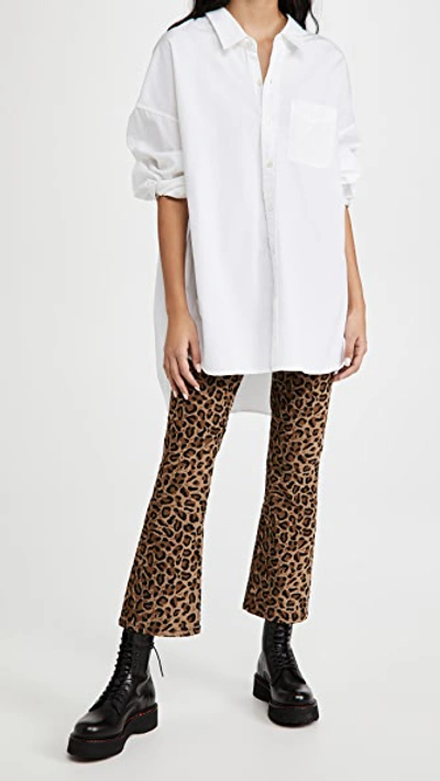 Drop Neck Oxford Shirt