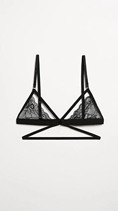 Honeydew Intimates Lucy Elastic & Lace Bra Black In Black