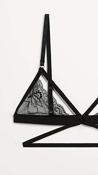 Honeydew Intimates Lucy Elastic & Lace Bra Black In Black