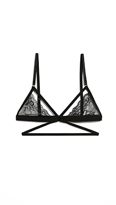 Honeydew Intimates Lucy Elastic & Lace Bra Black In Black