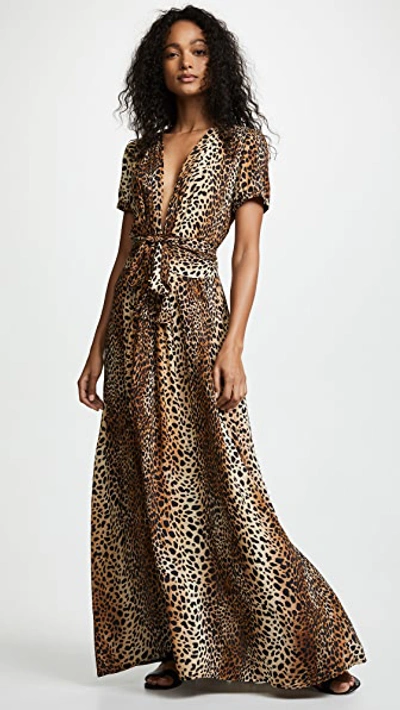 Shop Melissa Odabash Lou Dress In Cheetah