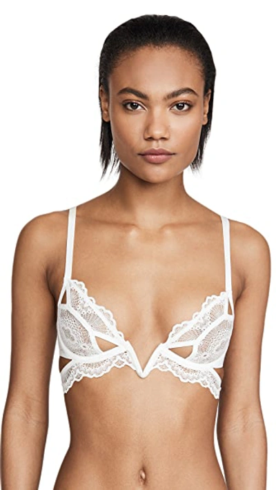 Thistle & Spire Kane Cutout Lace Underwire Bra In Ivory