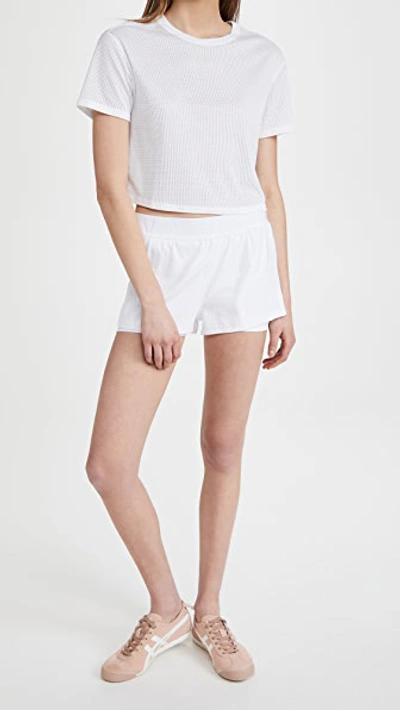 Shop Alala Court Shorts In White