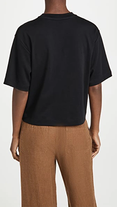 Vince Wide-sleeve Pima Cotton Crop Tee In Black