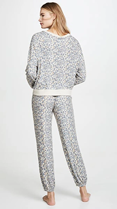 Honeydew Intimates Star Seeker Brushed Jersey Pajamas In Natural Leopard