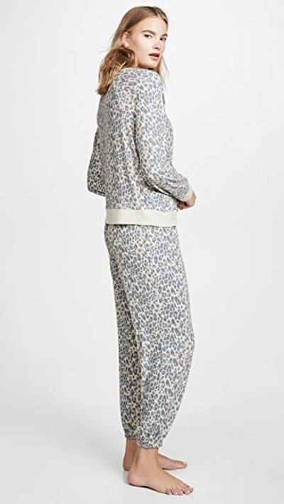 Honeydew Intimates Star Seeker Brushed Jersey Pajamas In Natural Leopard