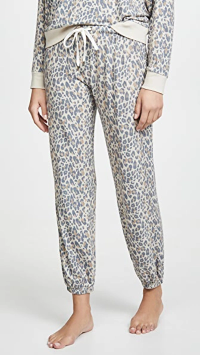 Honeydew Intimates Star Seeker Brushed Jersey Pajamas In Natural Leopard
