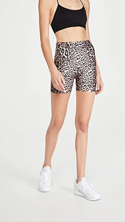 Shop Onzie Biker Short Shorts In Leopard