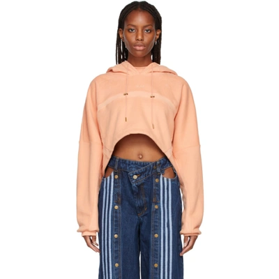 Ivy park 2024 crop hoodie