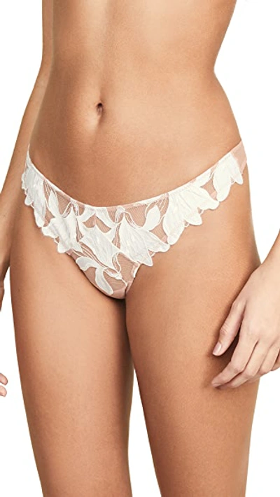 Shop Fleur Du Mal Lily Lace Thong In Ivory