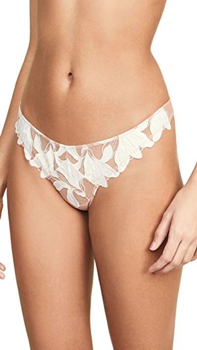 Fleur Du Mal Lily Satin-trimmed Embroidered Stretch-tulle Thong In Ivory