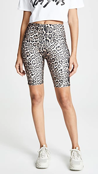 Shop Onzie High Rise Bike Shorts In Leopard
